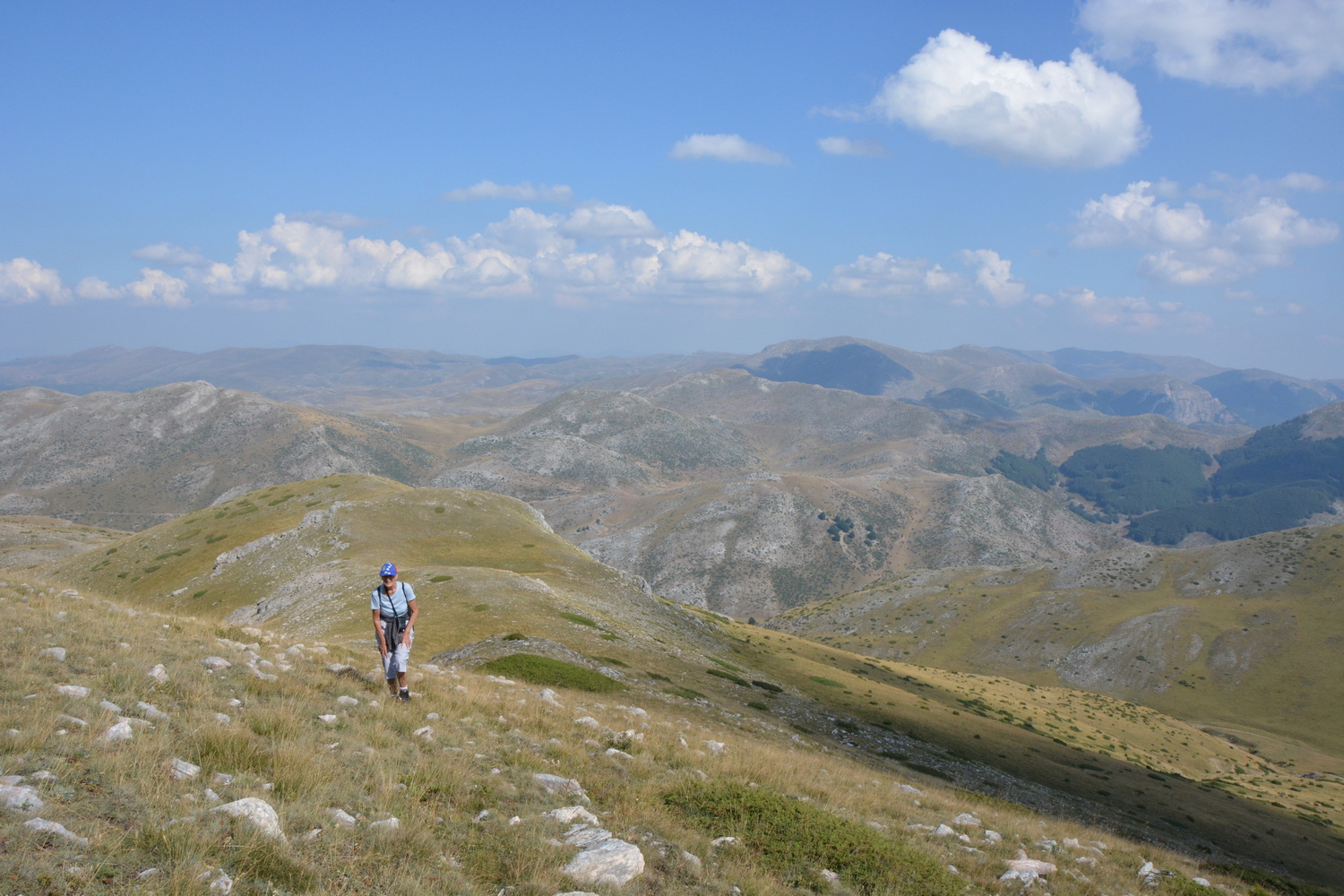 fot. Mateusz Tomaszczyk fot. Mateusz Tomaszczyk