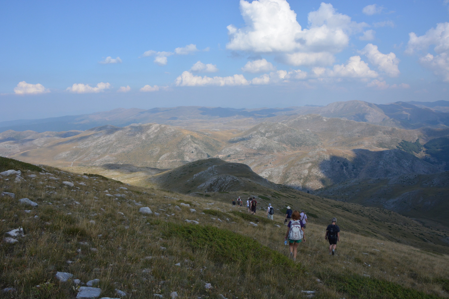 fot. Mateusz Tomaszczyk fot. Mateusz Tomaszczyk