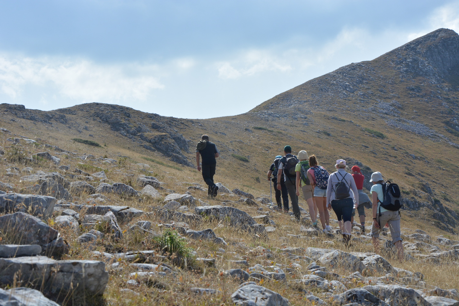 fot. Mateusz Tomaszczyk fot. Mateusz Tomaszczyk