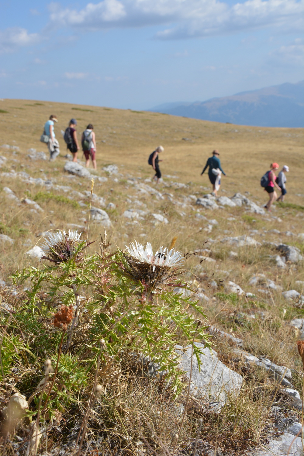 fot. Mateusz Tomaszczyk fot. Mateusz Tomaszczyk