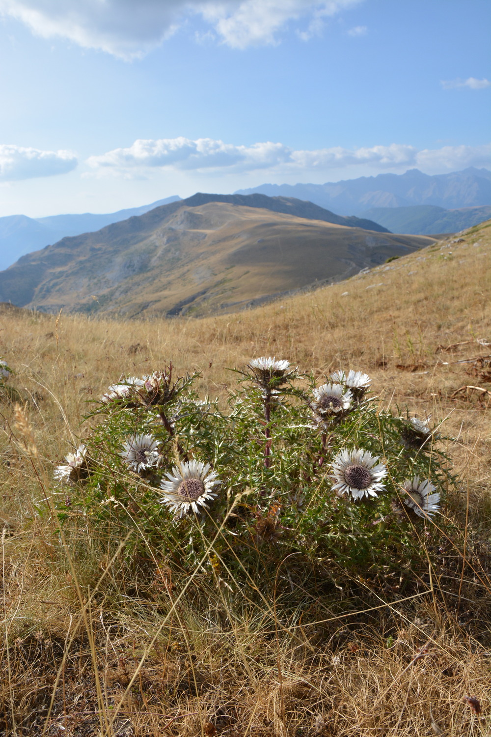 fot. Mateusz Tomaszczyk fot. Mateusz Tomaszczyk