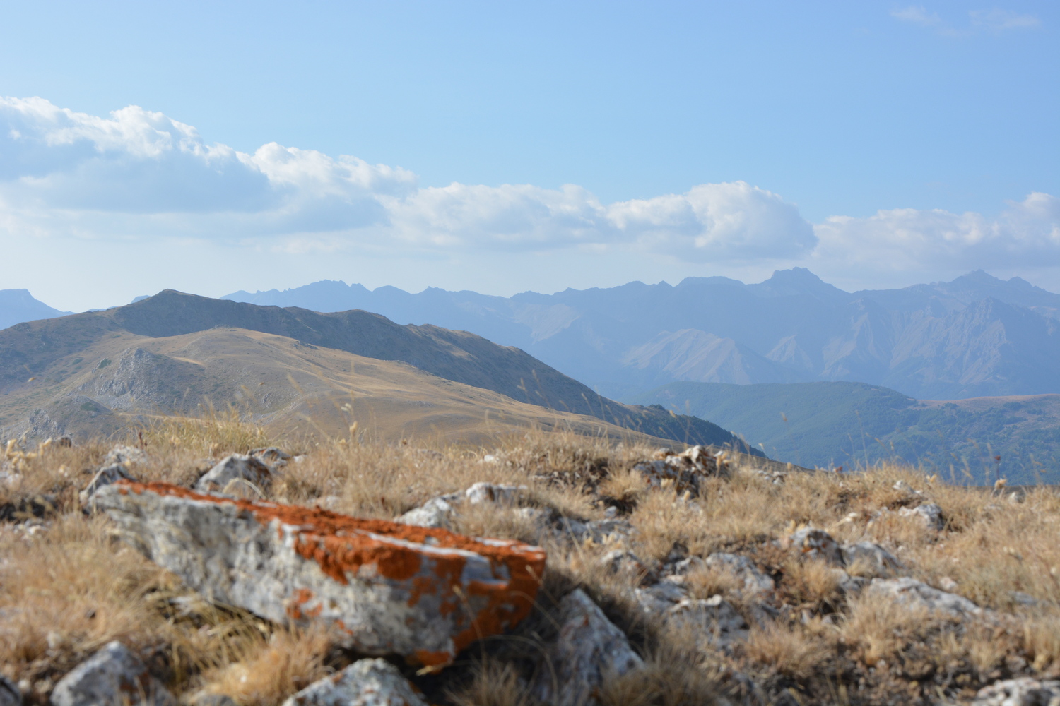 fot. Mateusz Tomaszczyk fot. Mateusz Tomaszczyk