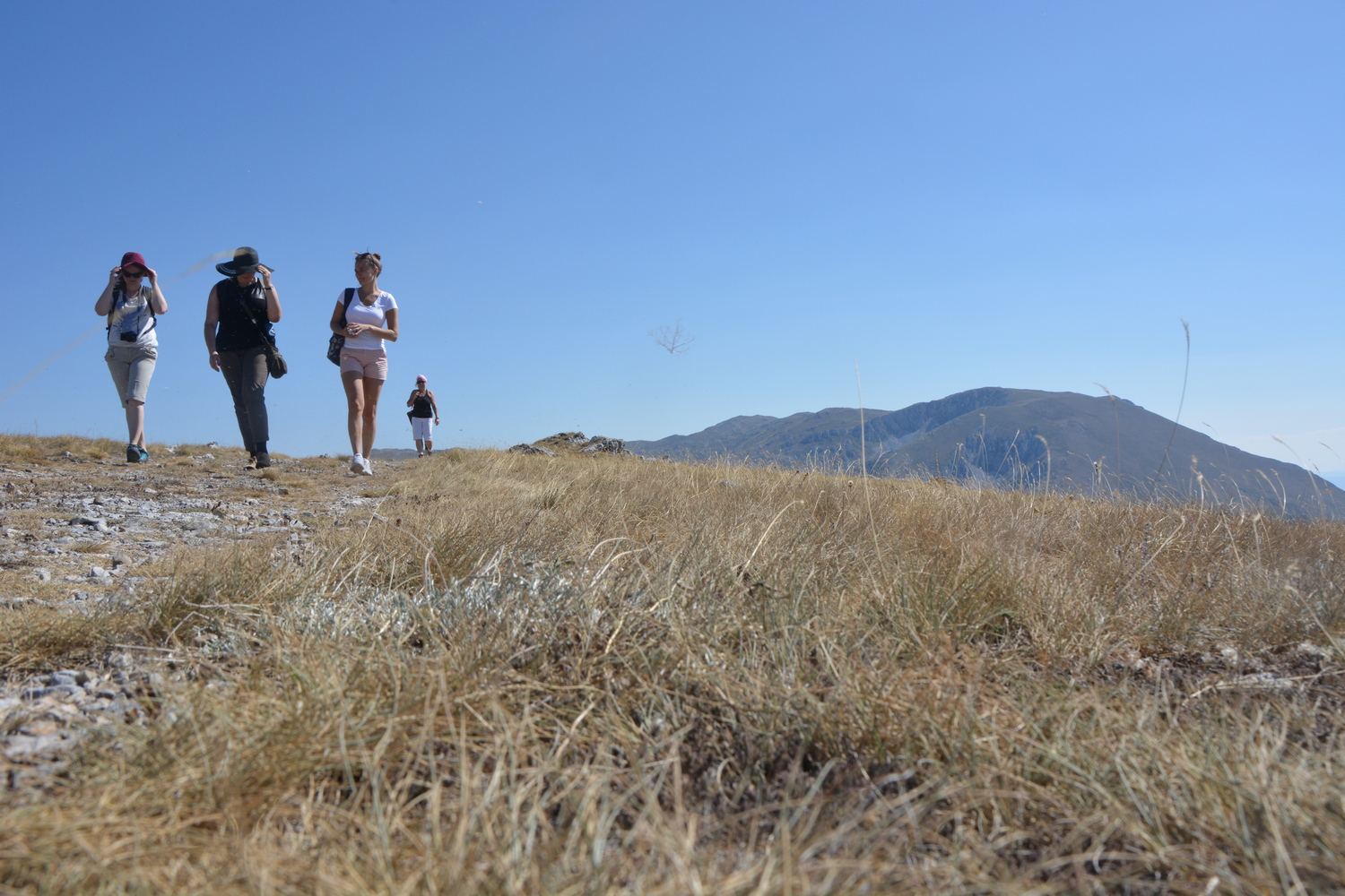 fot. Mateusz Tomaszczyk fot. Mateusz Tomaszczyk