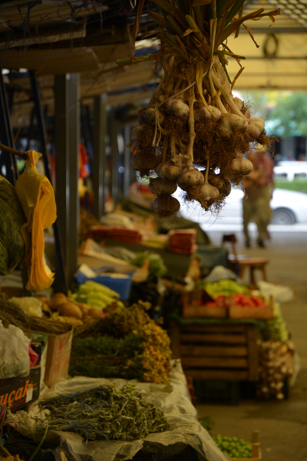 fot. Mateusz Tomaszczyk fot. Mateusz Tomaszczyk