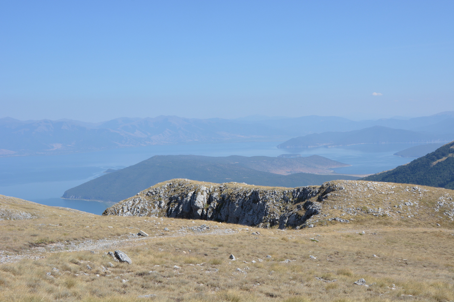 fot. Mateusz Tomaszczyk fot. Mateusz Tomaszczyk