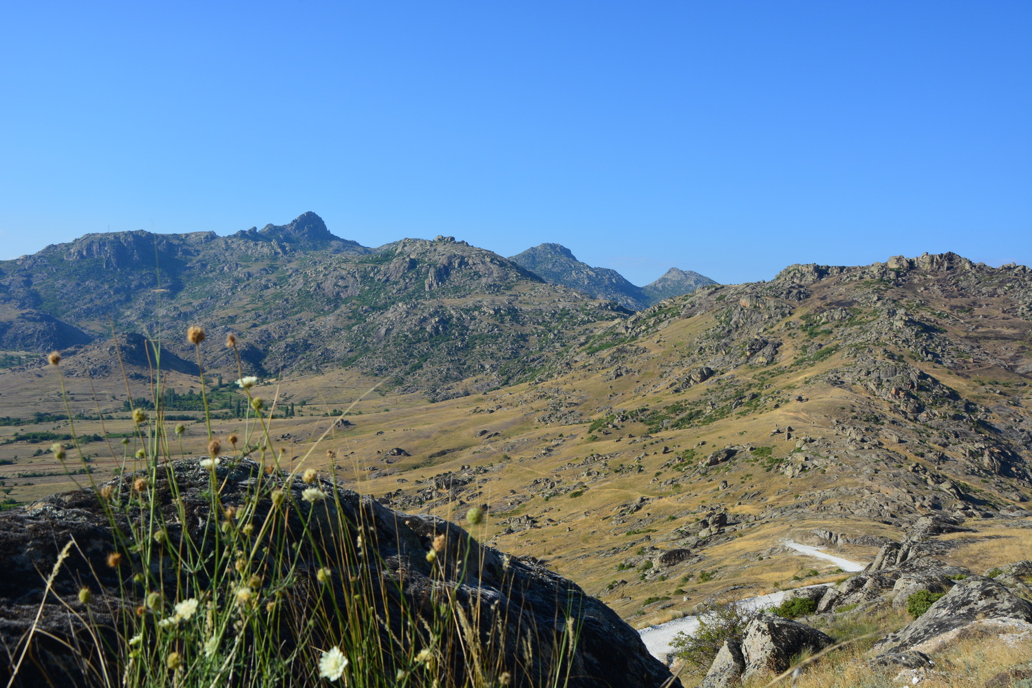 fot. Mateusz Tomaszczyk fot. Mateusz Tomaszczyk