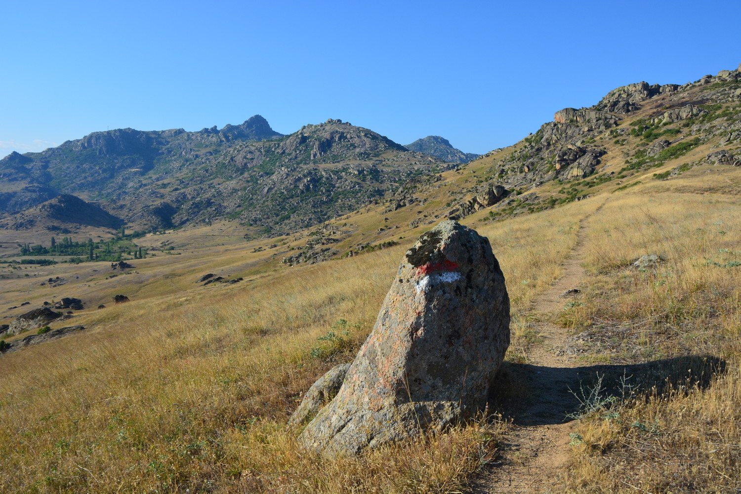 fot. Mateusz Tomaszczyk fot. Mateusz Tomaszczyk