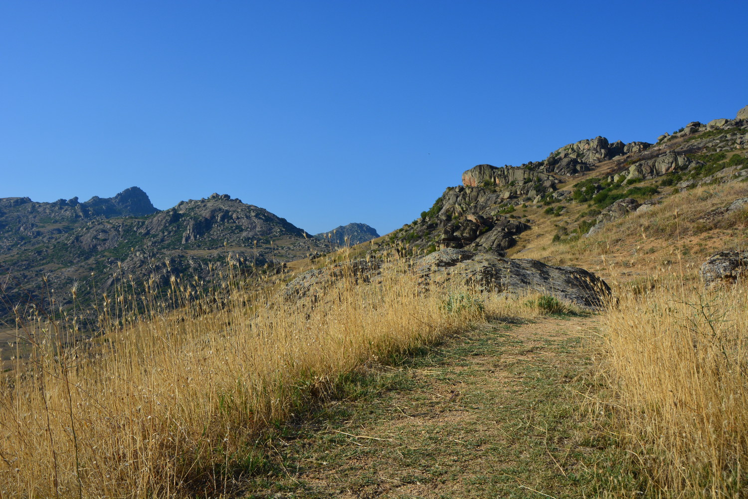 fot. Mateusz Tomaszczyk fot. Mateusz Tomaszczyk