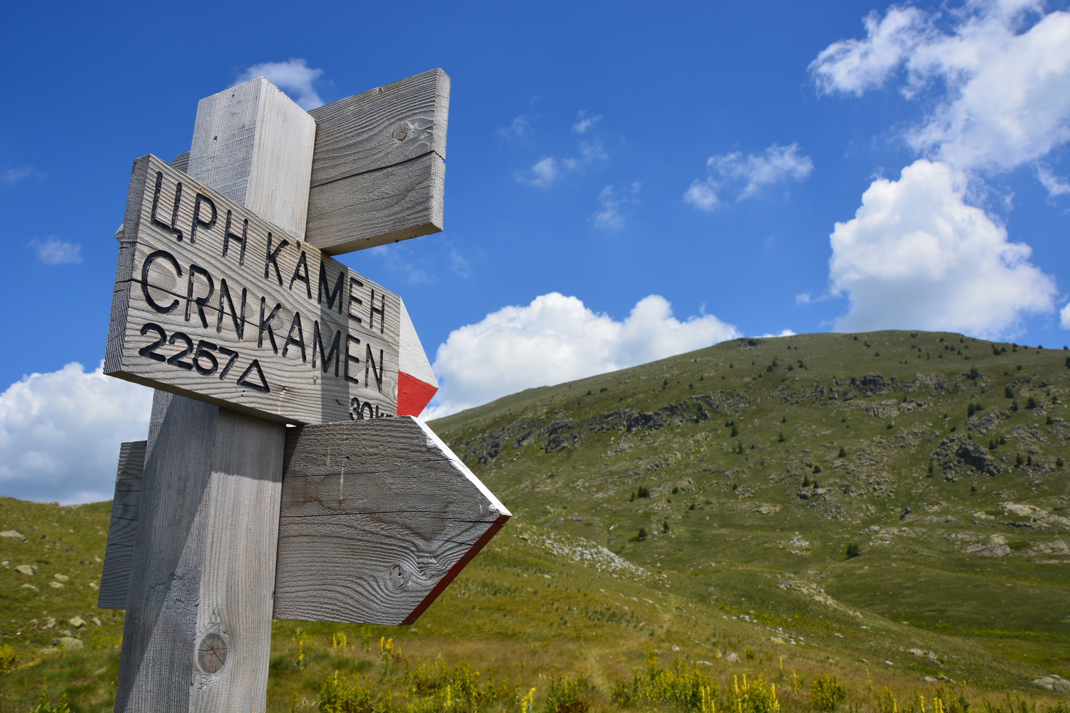 fot. Mateusz Tomaszczyk fot. Mateusz Tomaszczyk