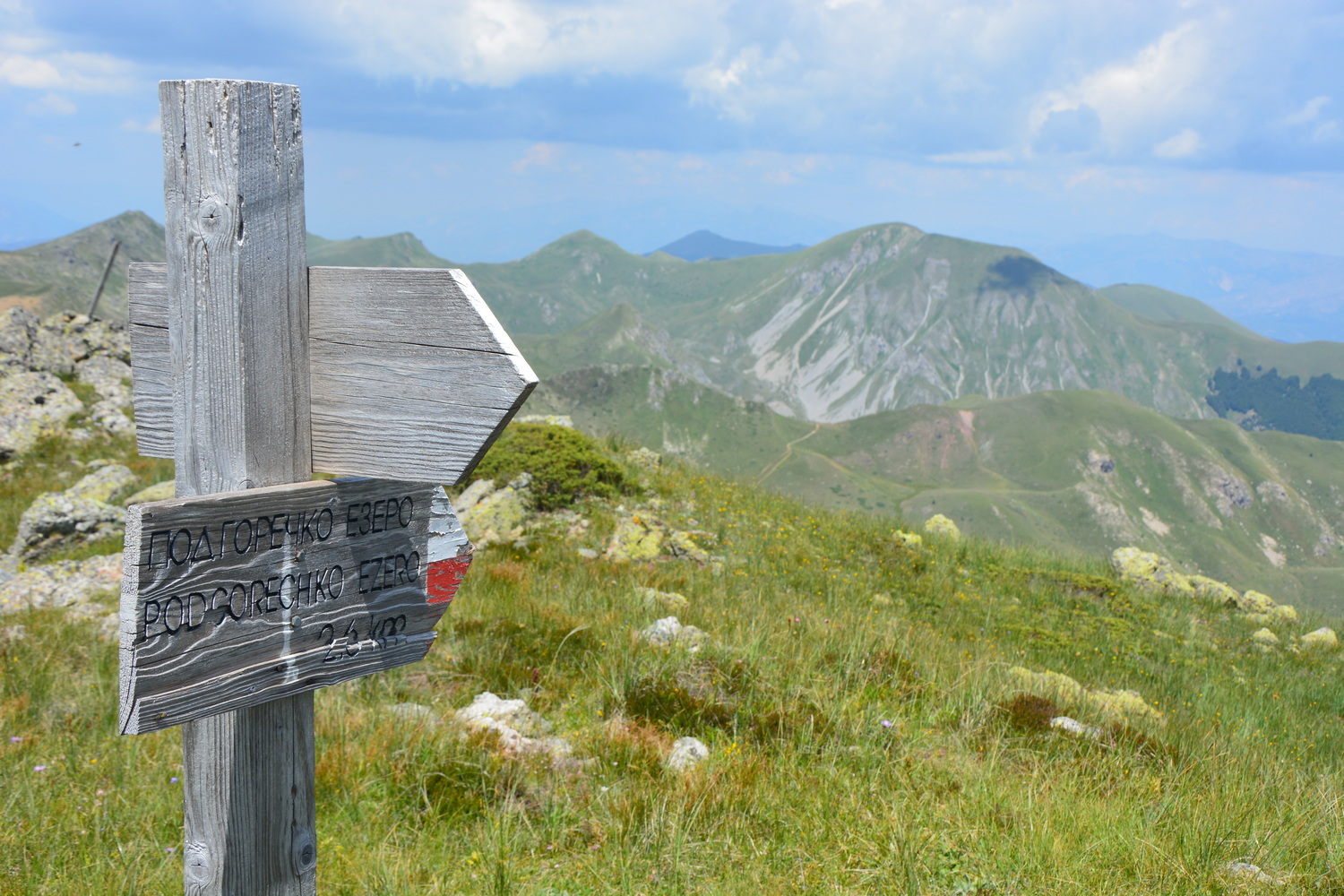 fot. Mateusz Tomaszczyk fot. Mateusz Tomaszczyk