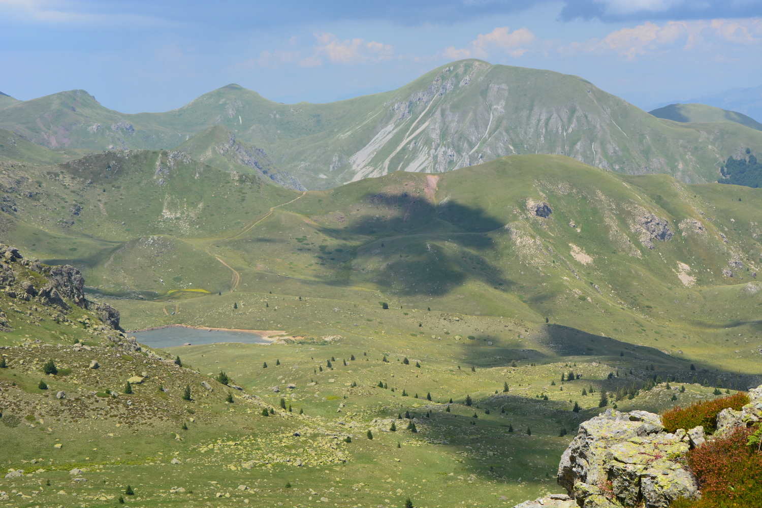 fot. Mateusz Tomaszczyk fot. Mateusz Tomaszczyk