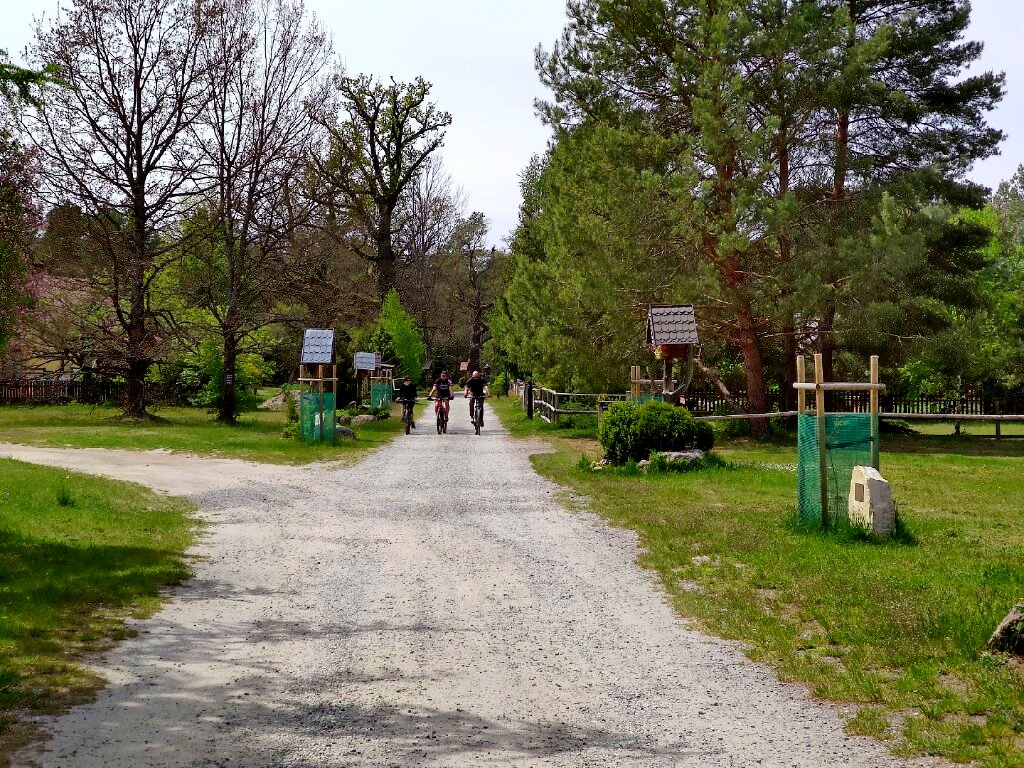 Górecko Kościelne (fot. Krzysztof Korn)