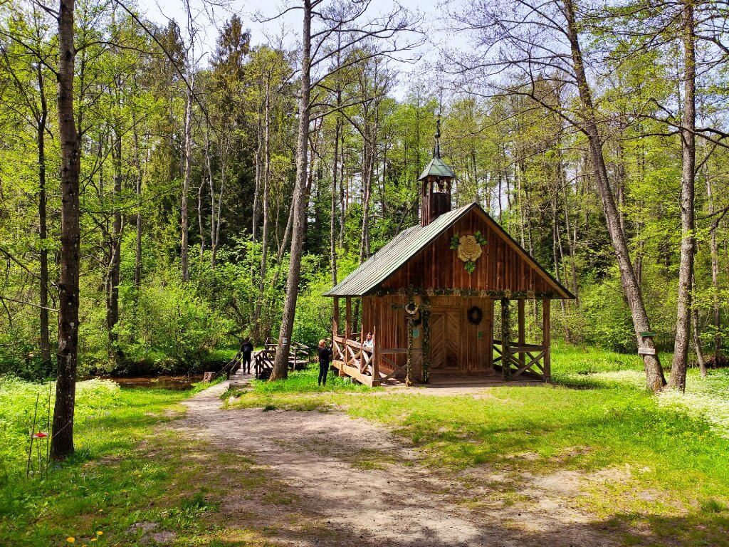 Górecko Kościelne (fot. Krzysztof Korn)
