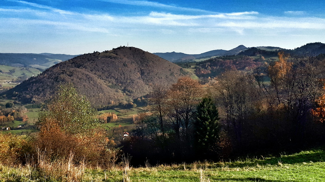 Jarmuta w Małych Pieninach (fot. Paweł Klimek)