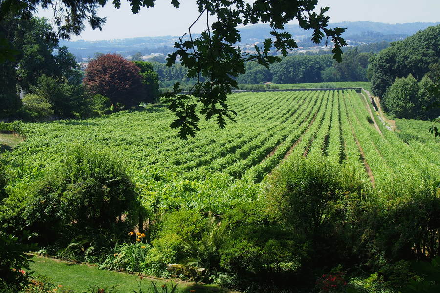 fot. Miguel Filipe Adão