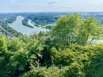 fot. Michał Skokowski 