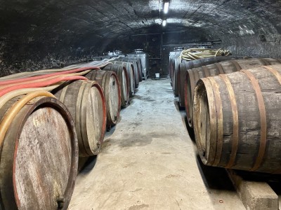 fot. Michał Skokowski 