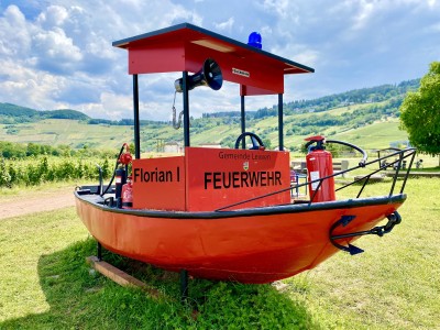 fot. Michał Skokowski 