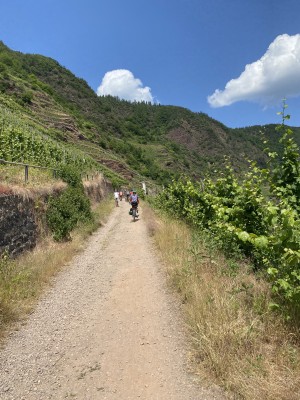 fot. Michał Skokowski 