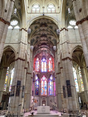 fot. Michał Skokowski 