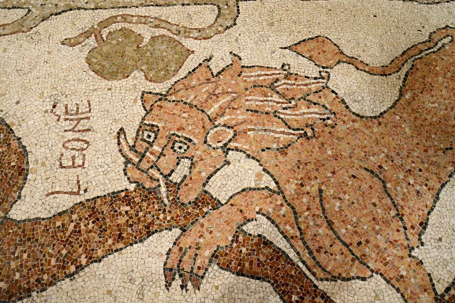 Fragment mozaiki z katedry w Otranto