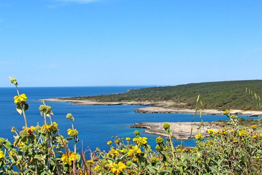 Dziki zakątek wybrzeża