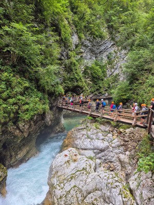 fot. Sebastian Kopera