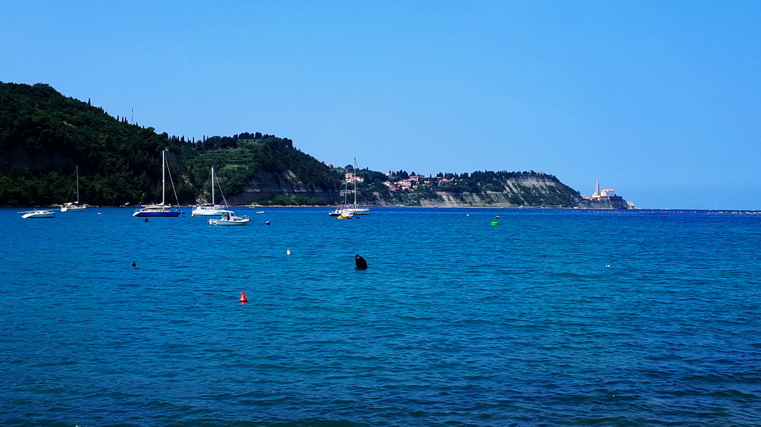 Wybrzeże w okolicach Piranu (fot. Paweł Klimek)