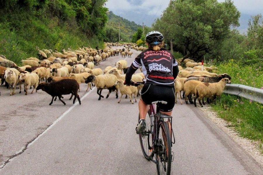 Na albańskich drogach