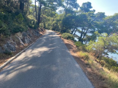 Wyspa Mljet (fot. Kamil Wereszczyński)