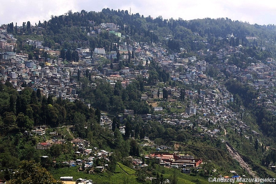 Dardżyling Dardżyling