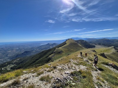fot. Arek Głodek fot. Arek Głodek