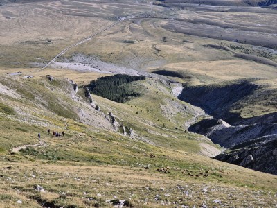 fot. Arek Głodek fot. Arek Głodek