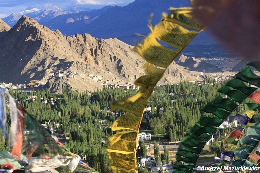 Widok z wgórza ponad Leh