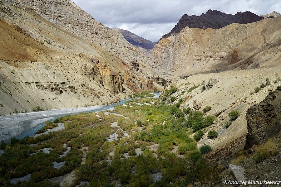 Dolina rzeki Niri Chu porośnięta wierzbami