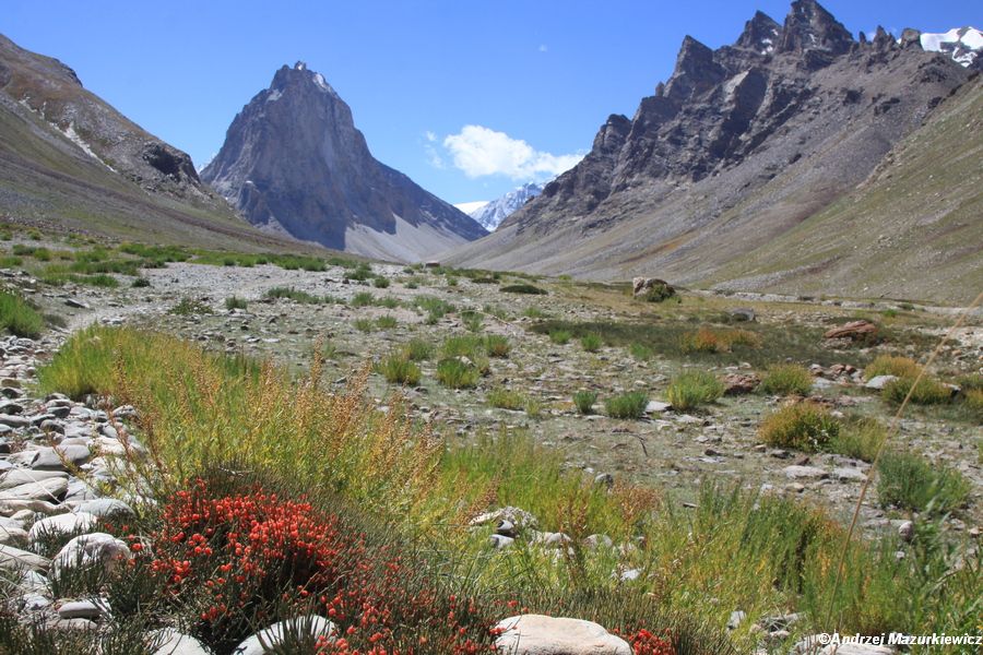 Jesienne kolory w Zanskarze