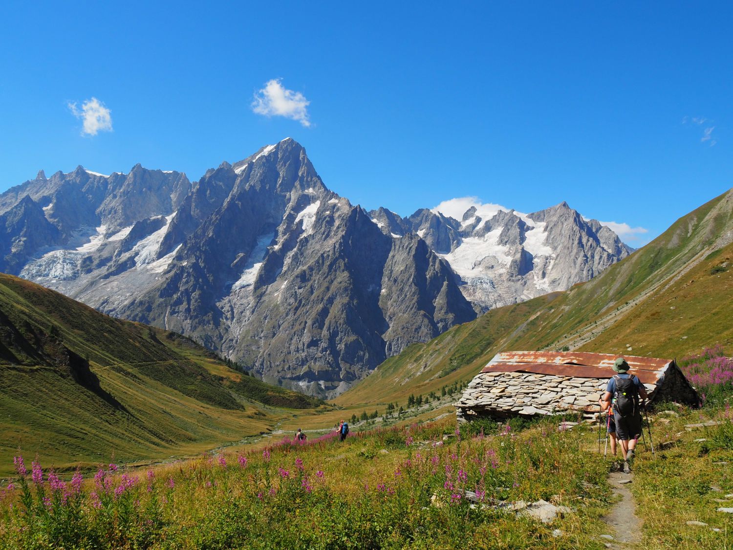 Majestatyczny widok na Alpy fot. Joanna Dragon