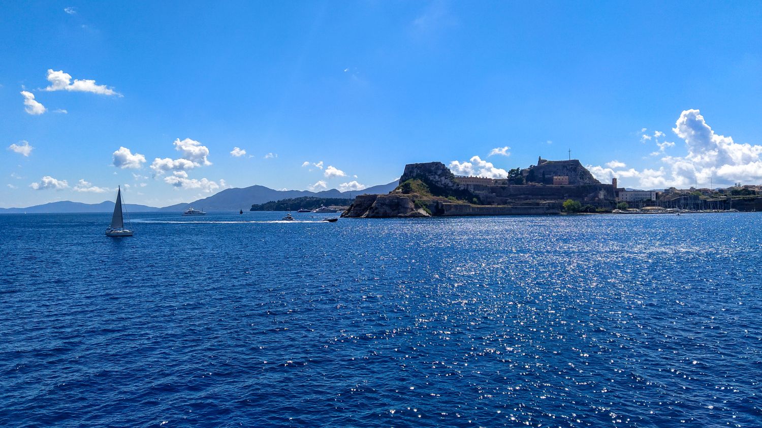 fot. Piotr Mojżyszek