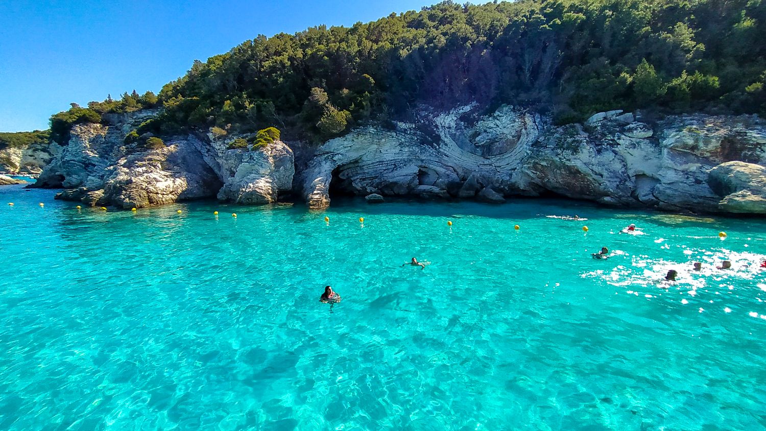 fot. Piotr Mojżyszek