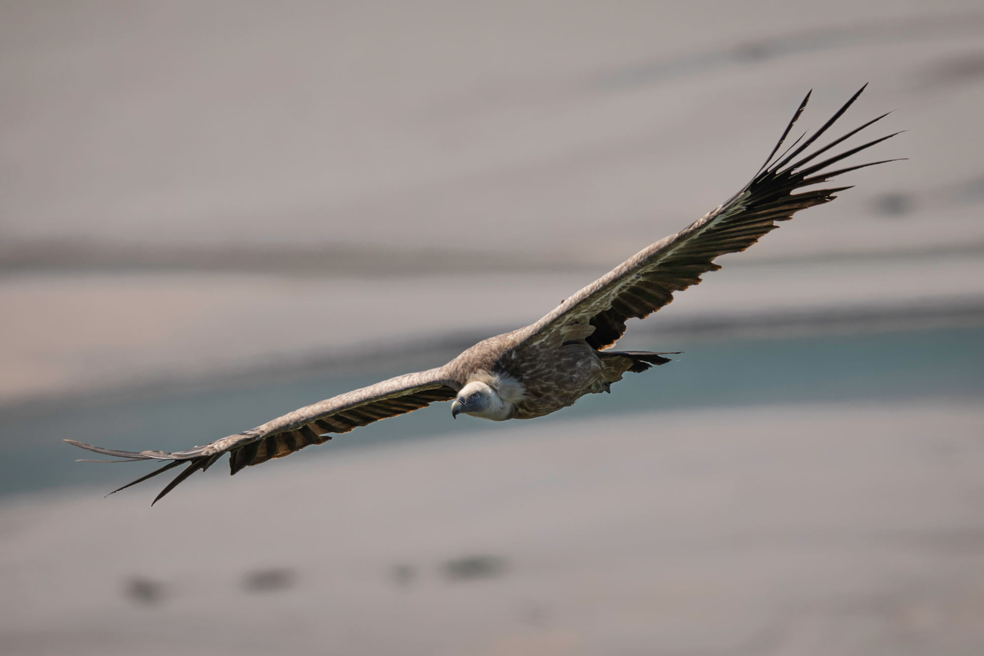 fot. Piotr Skrzypiec