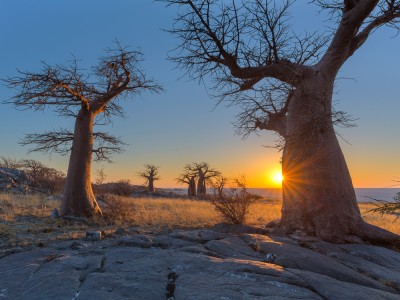 PN Makgadikgadi