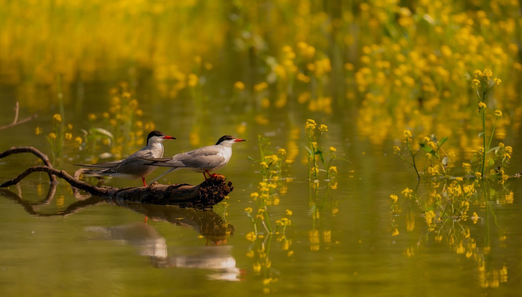 fot. Paweł Czapczyk