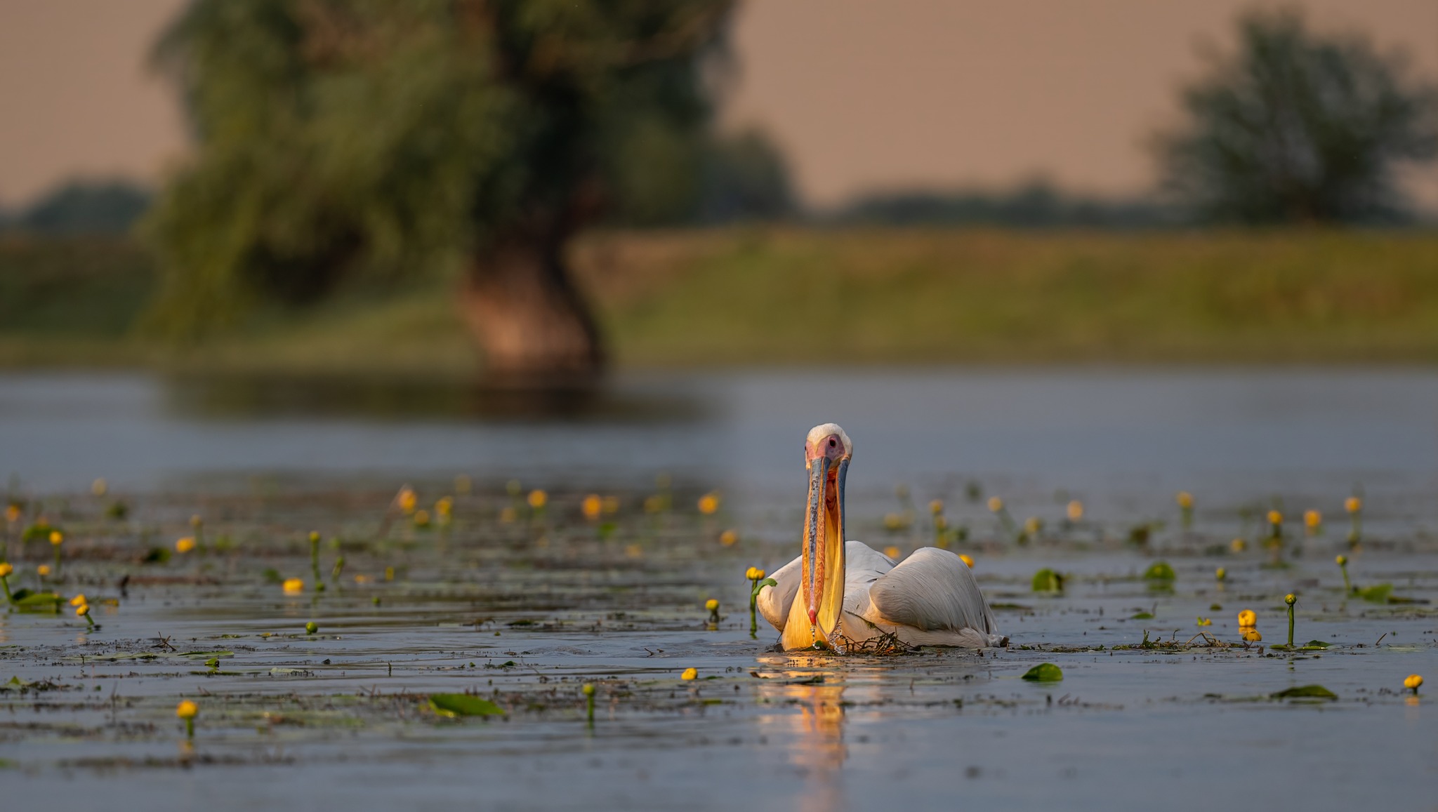 fot. Paweł Czapczyk