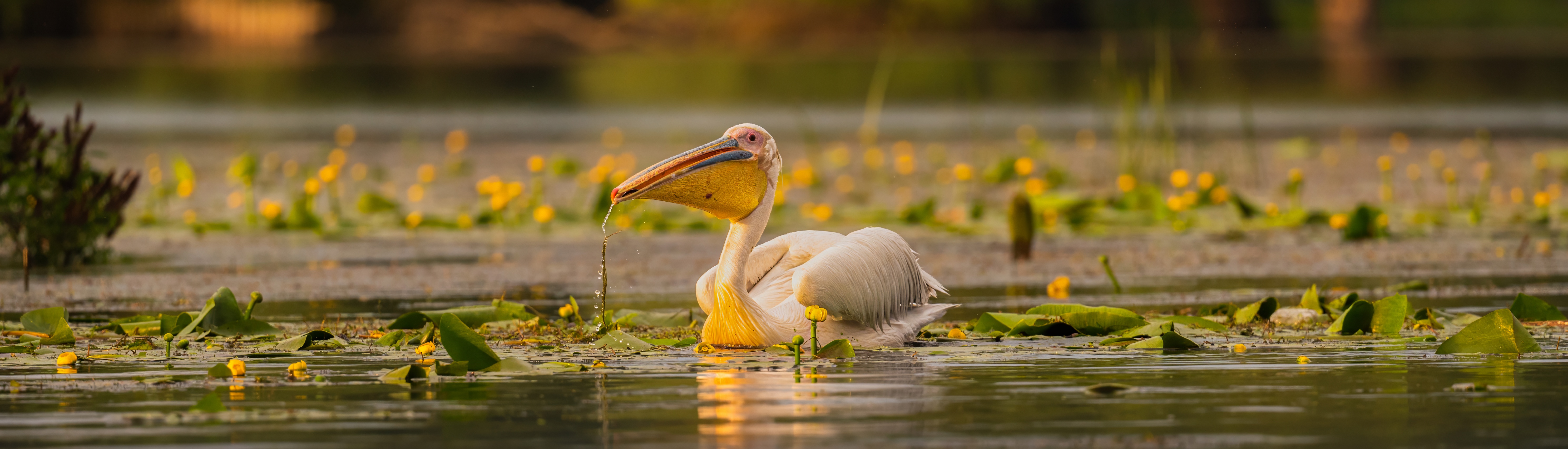 fot. Paweł Czapczyk