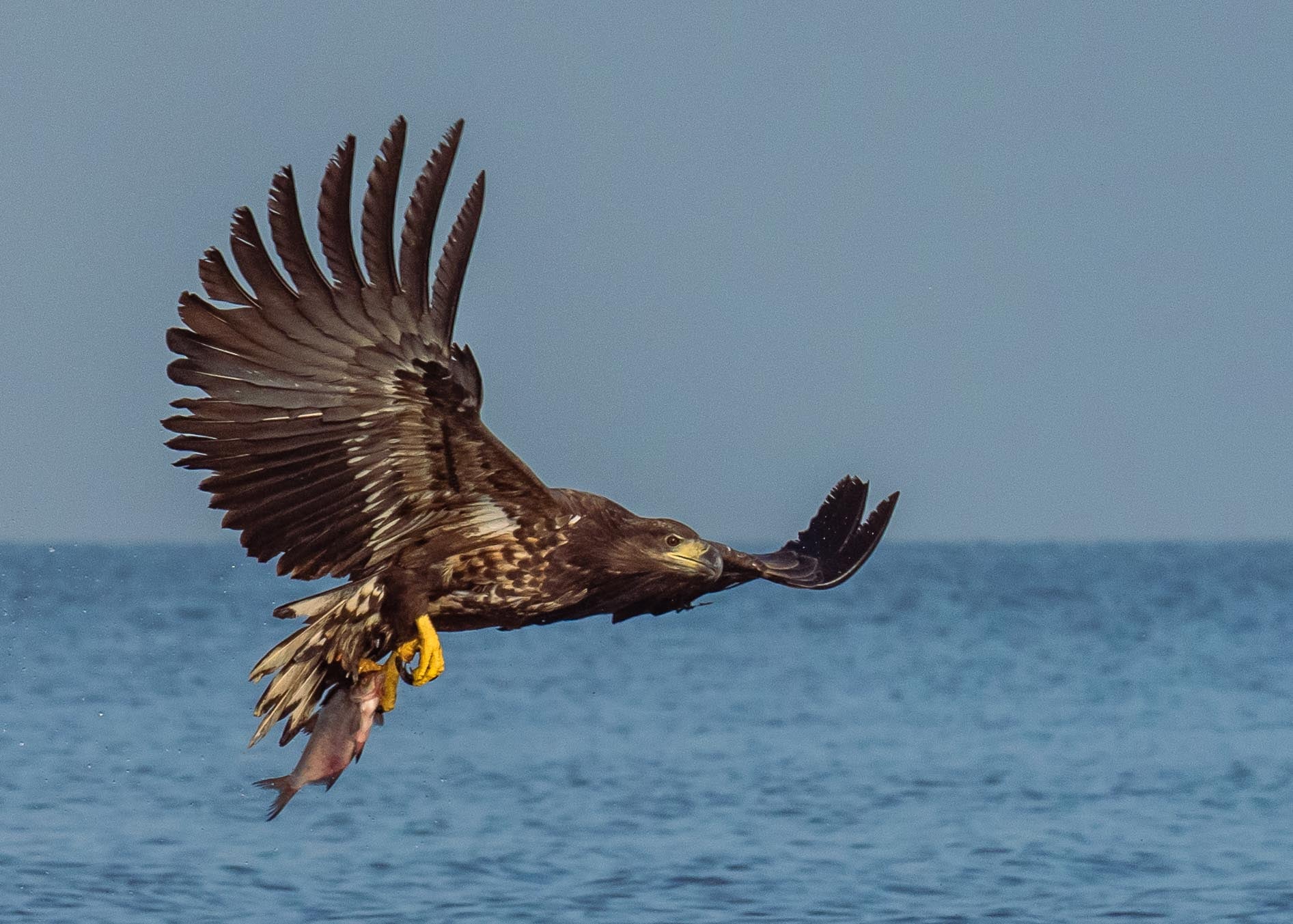 fot. Paweł Czapczyk