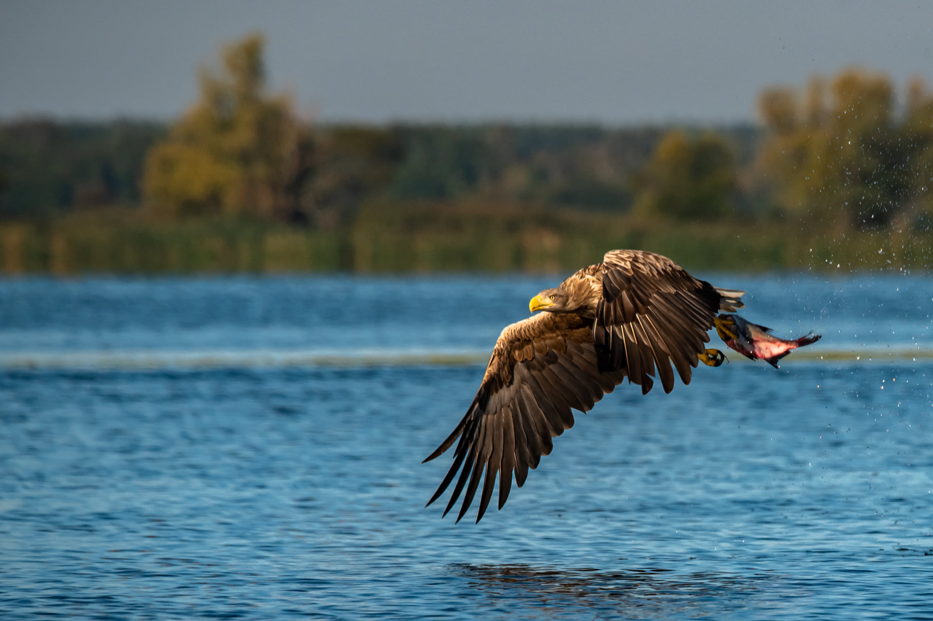 fot. Paweł Czapczyk
