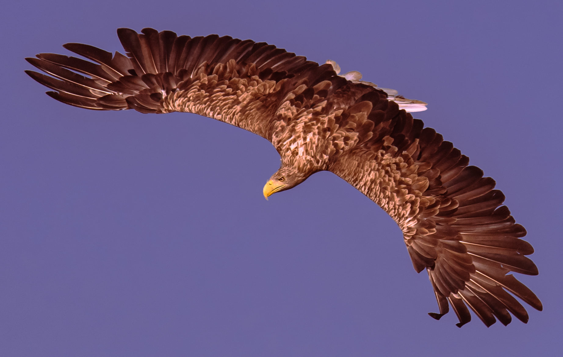 fot. Paweł Czapczyk