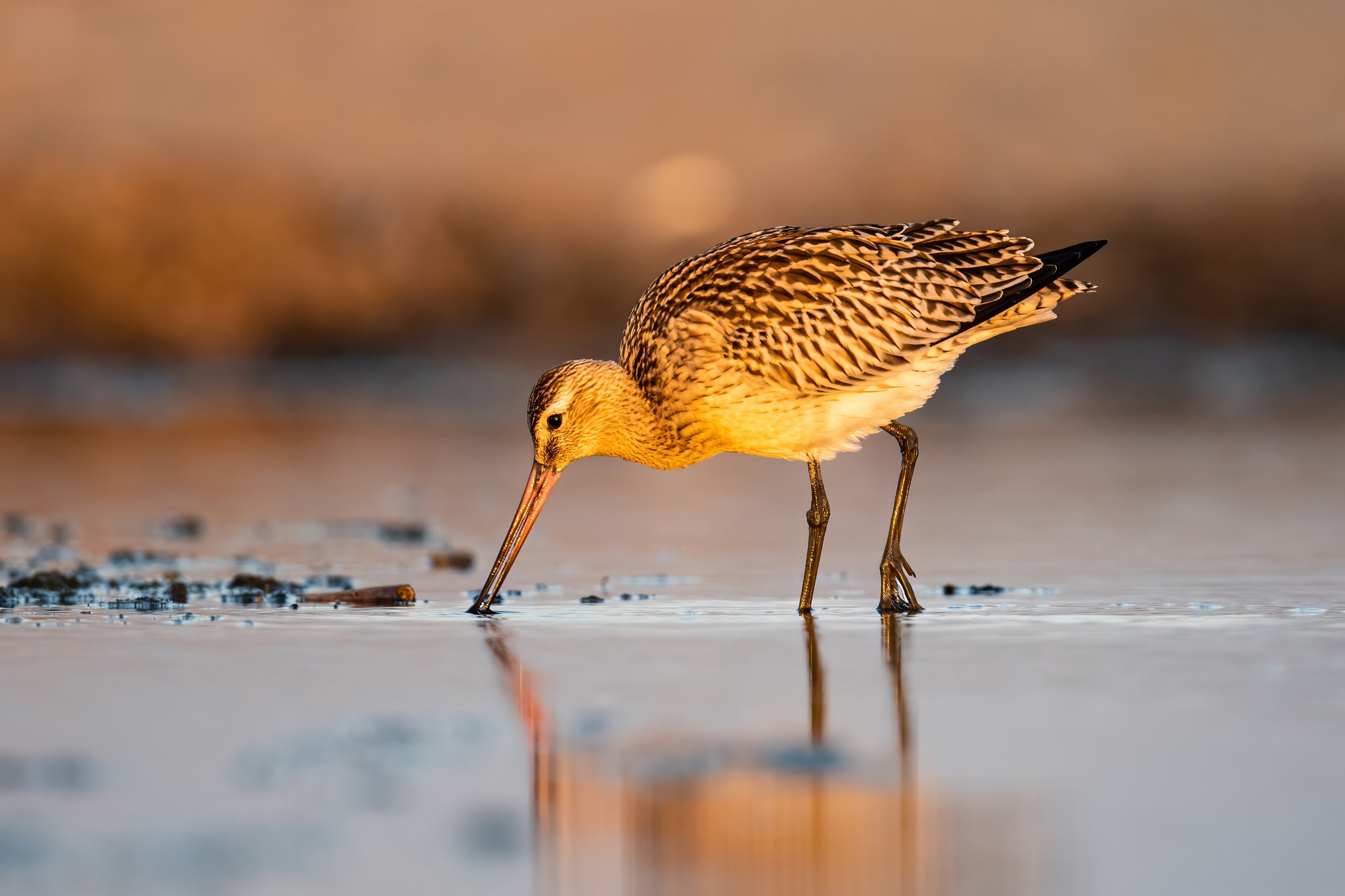 fot. Paweł Czapczyk