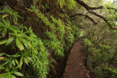 Szlak nad lewadą (fot. S. Adamczak, okfoto.pl)