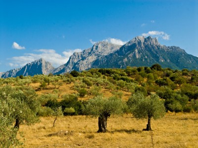 Widok na masyw Gennargentu